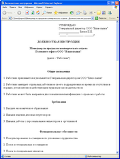 Должностная инструкция